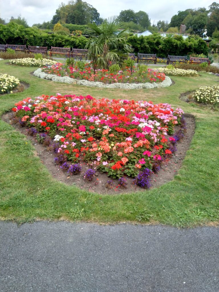 August at the Flower Garden in Thornes Park 