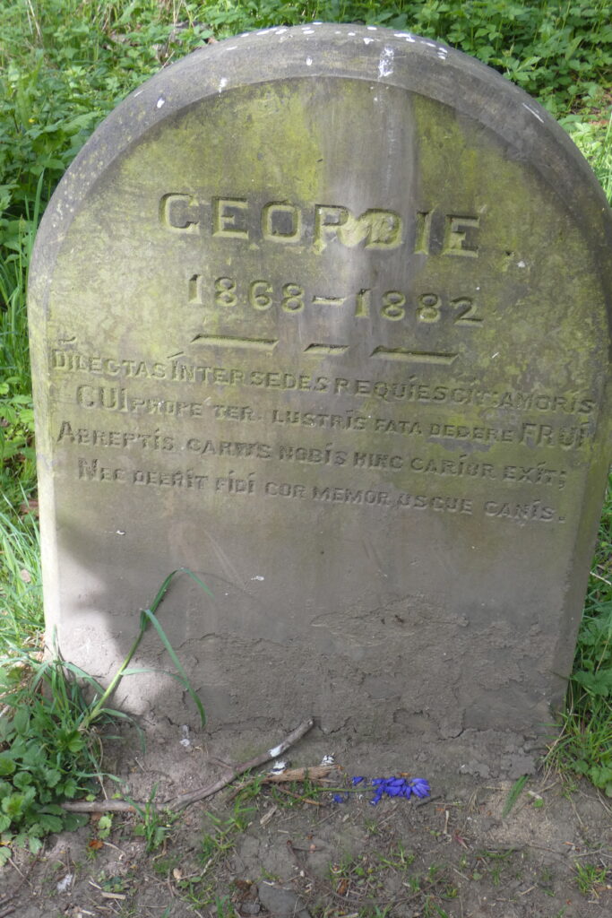 pet cemetery headstone