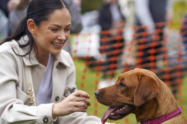 a smiling woman with a brown dog