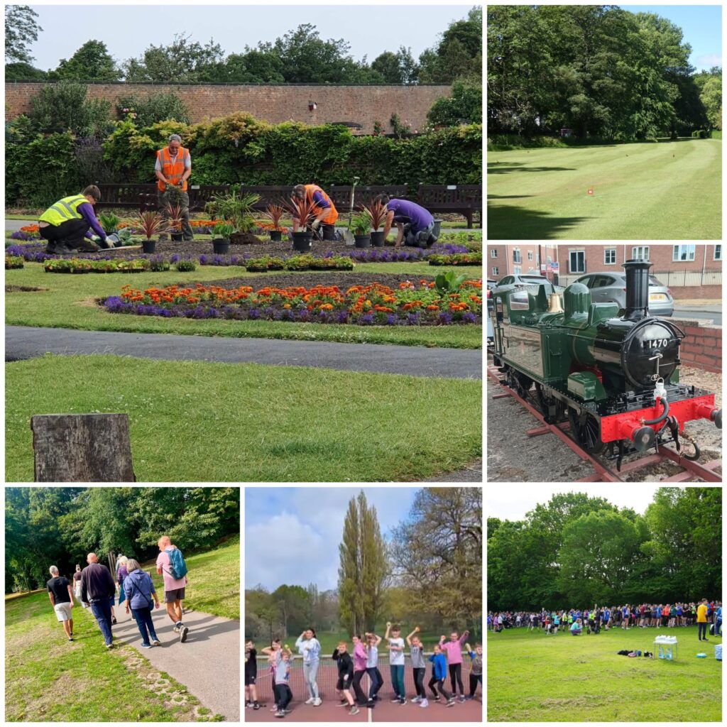 a collage of activities in the park